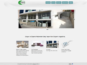 s&uuml;nger web tasarım